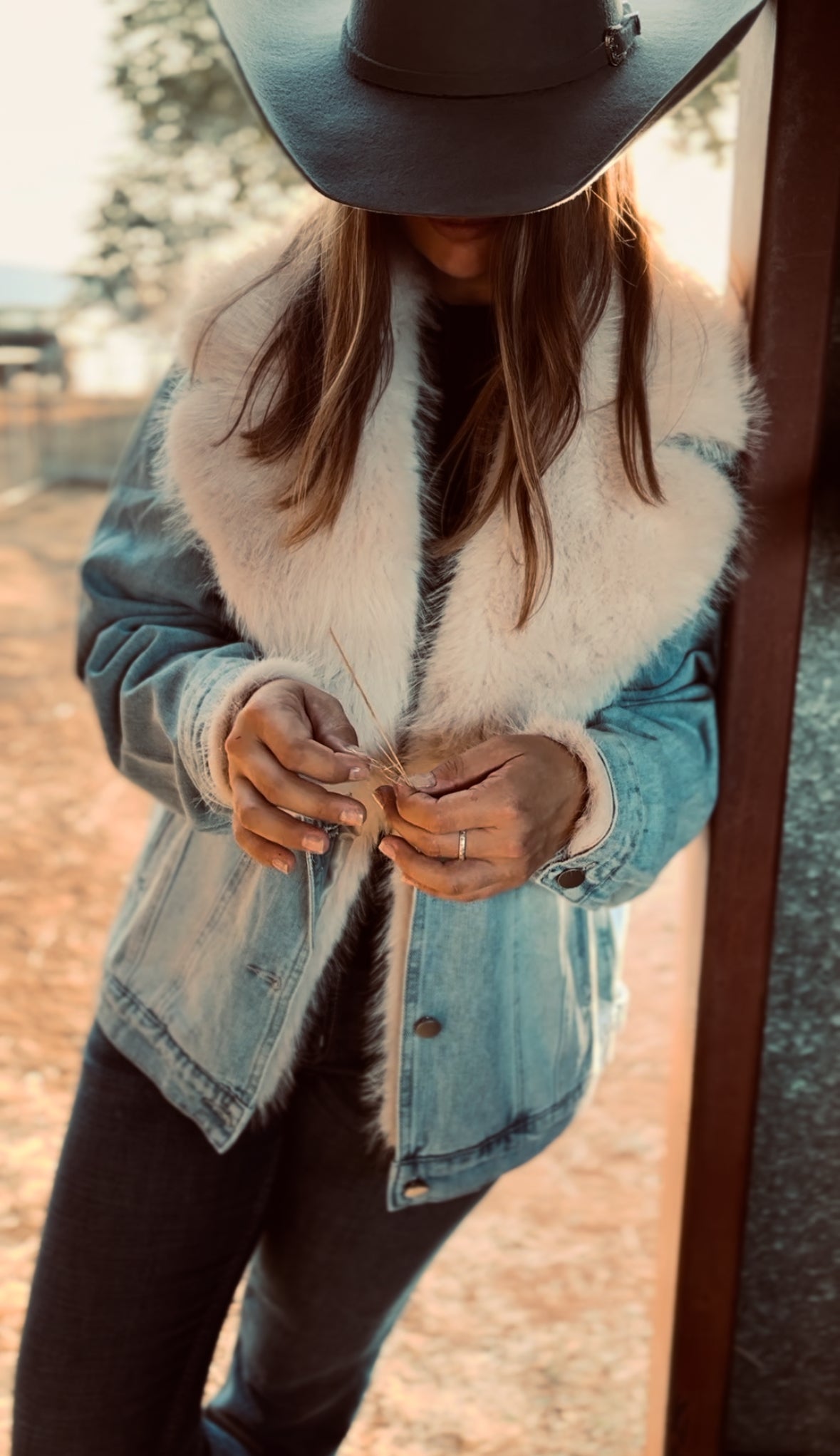 Winter Collection