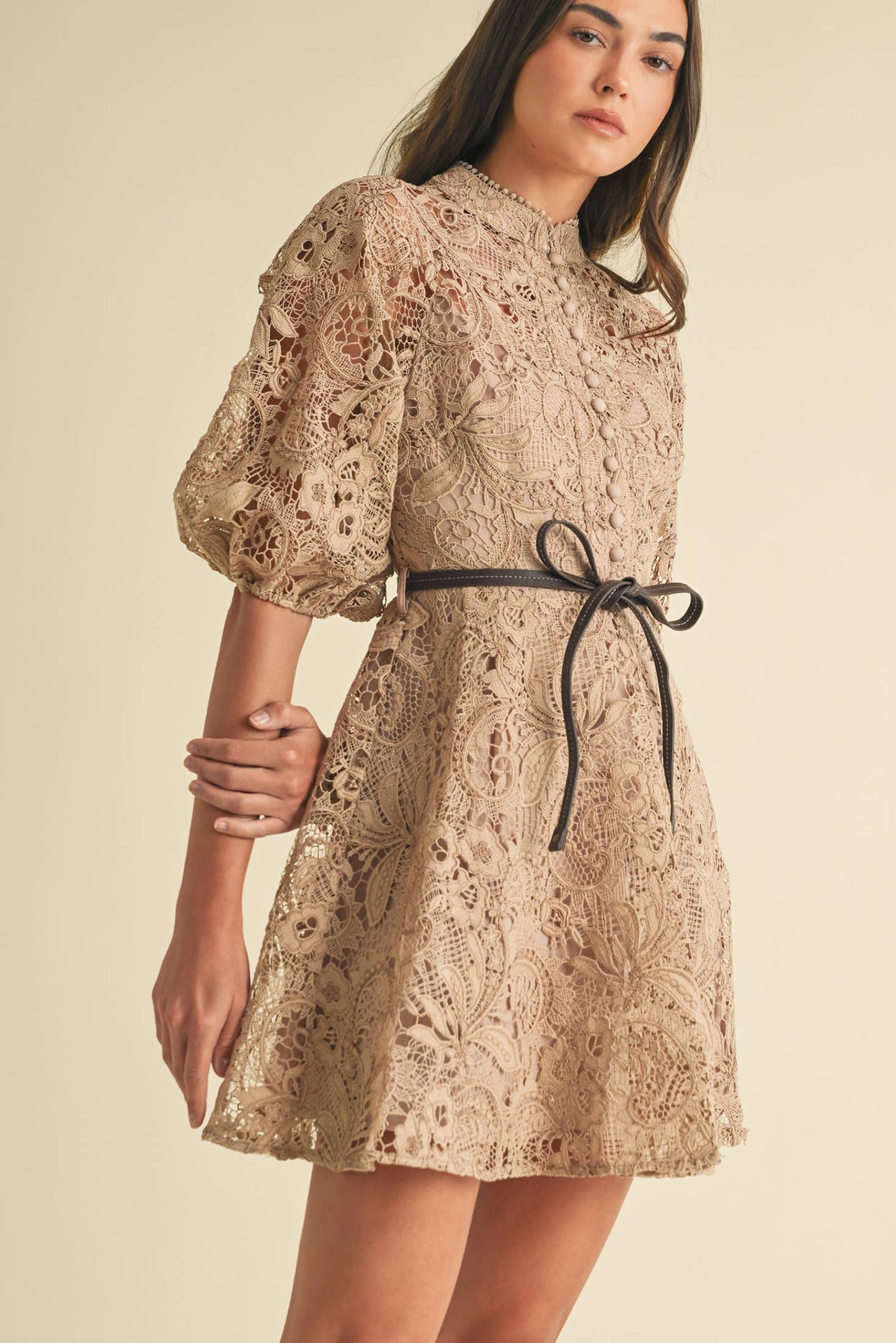 Esme Lace Victorian Dress