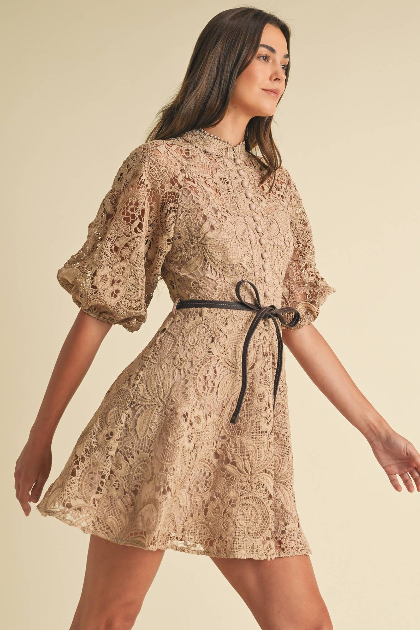 Esme Lace Victorian Dress