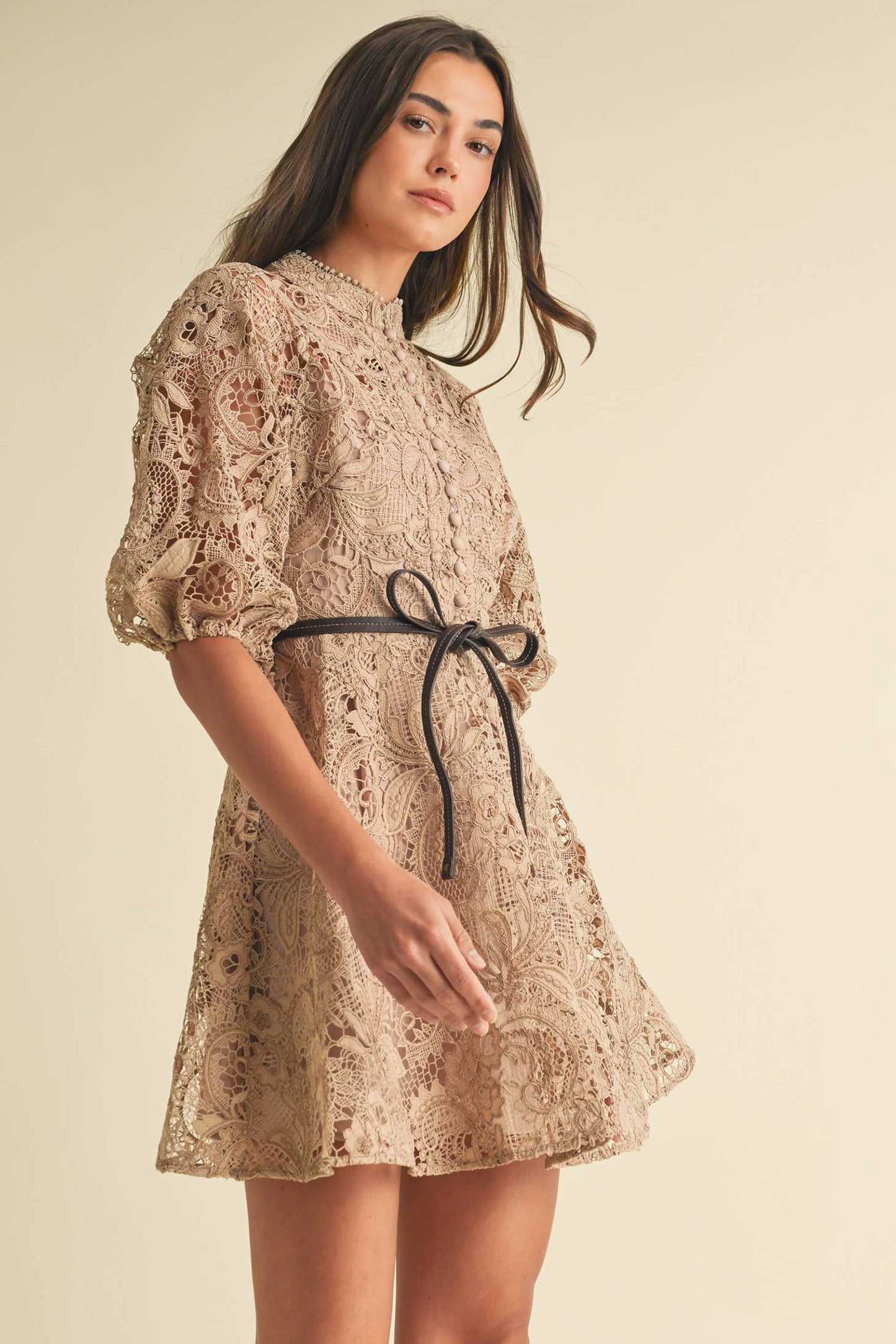 Esme Lace Victorian Dress